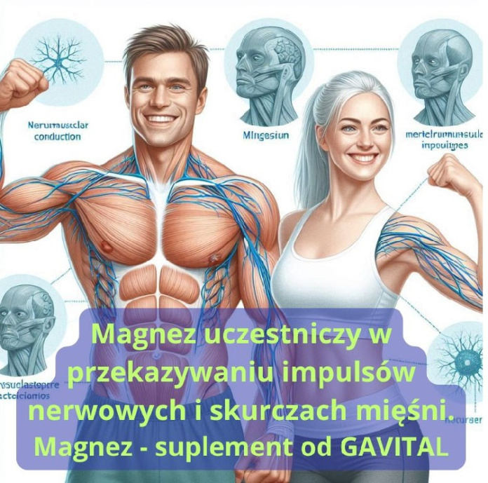 magnez przekaz impulsów nerwowych skurczach mięśni gavital puromedica plyn